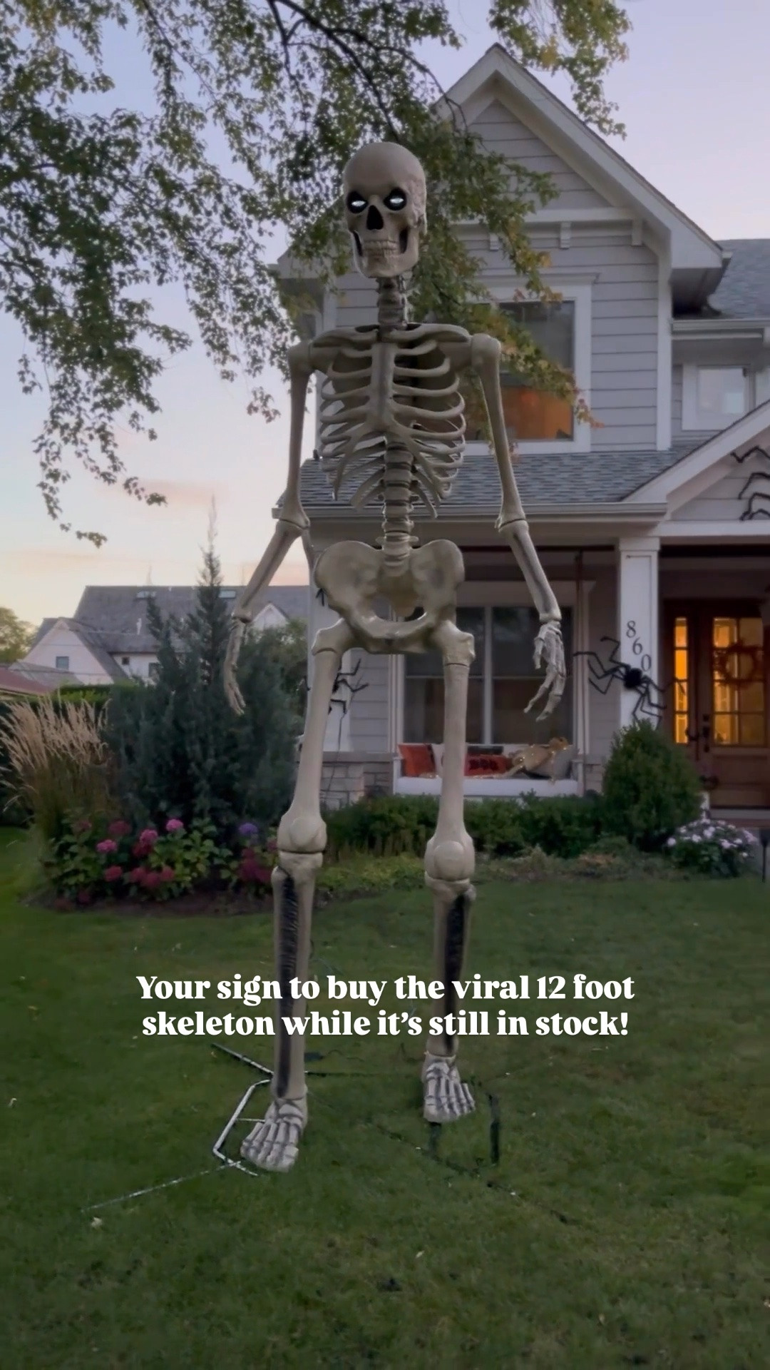The viral giant skeleton is available now don’t miss your chance to add this spooky guy to your front yard this Halloween!! 💀

#LTKHome #LTKSeasonal