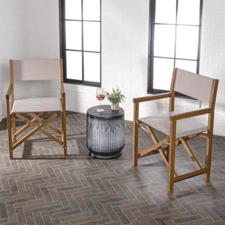 Zaniya Folding Director Chair with Cushions | Wayfair North America