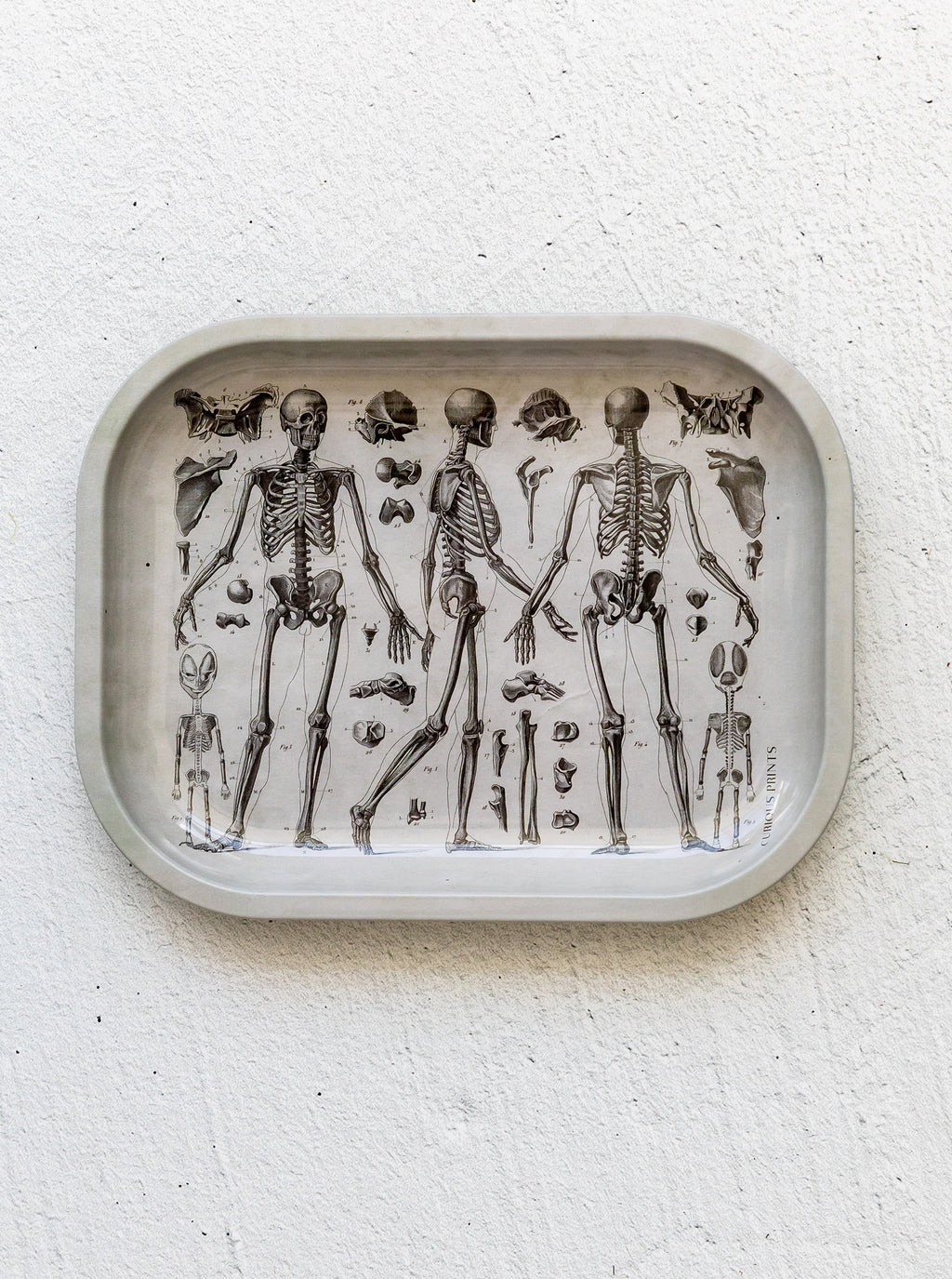 Skeleton Tray | House of Jade Home