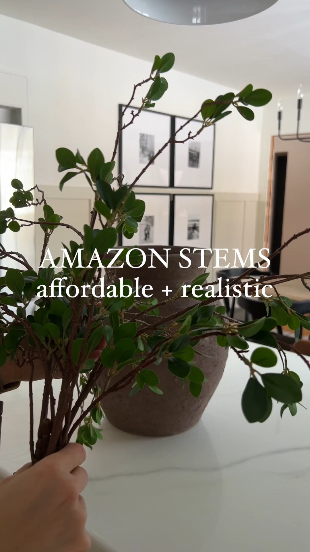 Love these Amazon stems!


#LTKHome #LTKFindsUnder50 #LTKSaleAlert