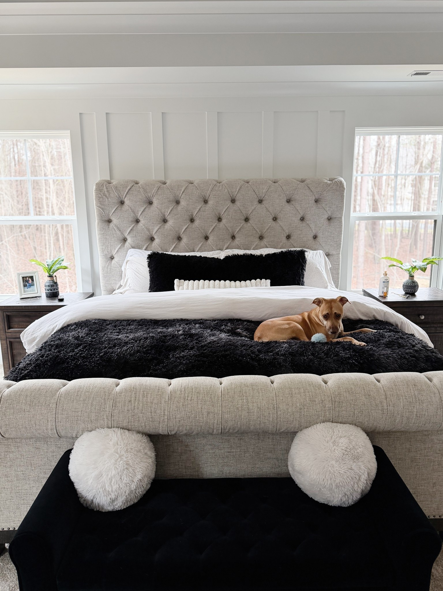 Bedroom Luxury on a budget 🖤  dog not included

#LTKmorningroutine #LTKselfcare #LTKHome