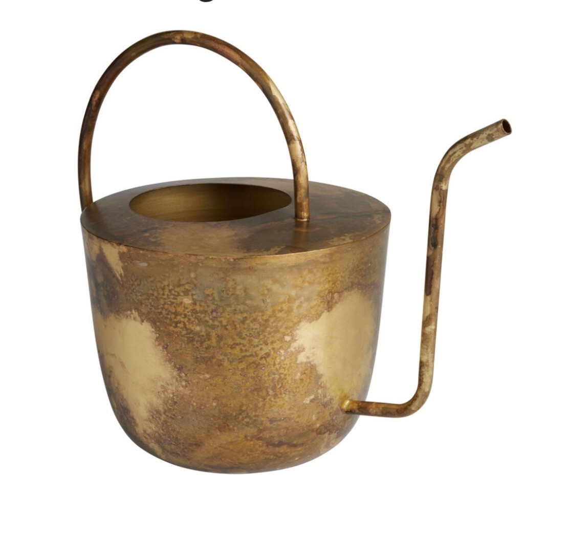 Burnished Antique Gold Watering Can

Plants, plant care, home decor 

#LTKU #LTKSeasonal #LTKHome