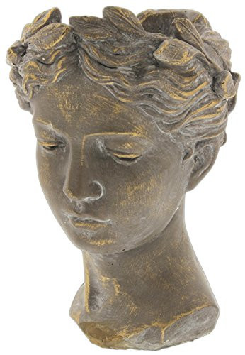 Lucky Winner Greek/Roman Style Female Statue Head Cement Planter - Unique Planter Pot for Indoor Outdoor Home Garden Decor (10.5") | Amazon (US)