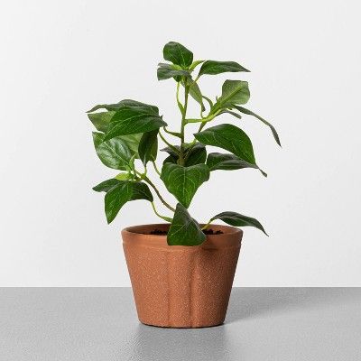 Faux Pepper Plant - Hearth &#38; Hand&#8482; with Magnolia | Target