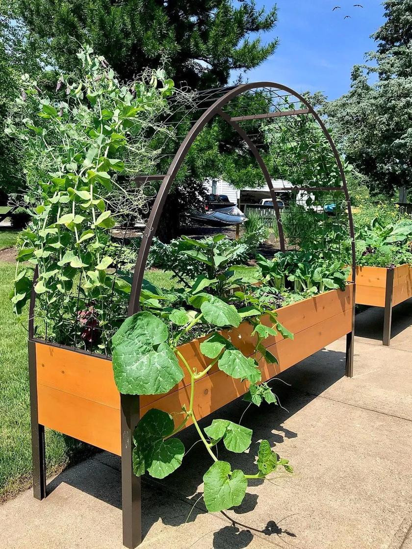 Arch Trellis for 2' x 8' Elevated Planter Box | Gardener's Supply | Gardener's Supply Company