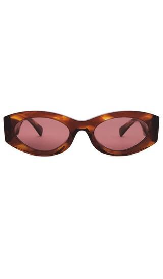 Miu Miu Oval Sunglasses in Brown. | Revolve Clothing (Global)