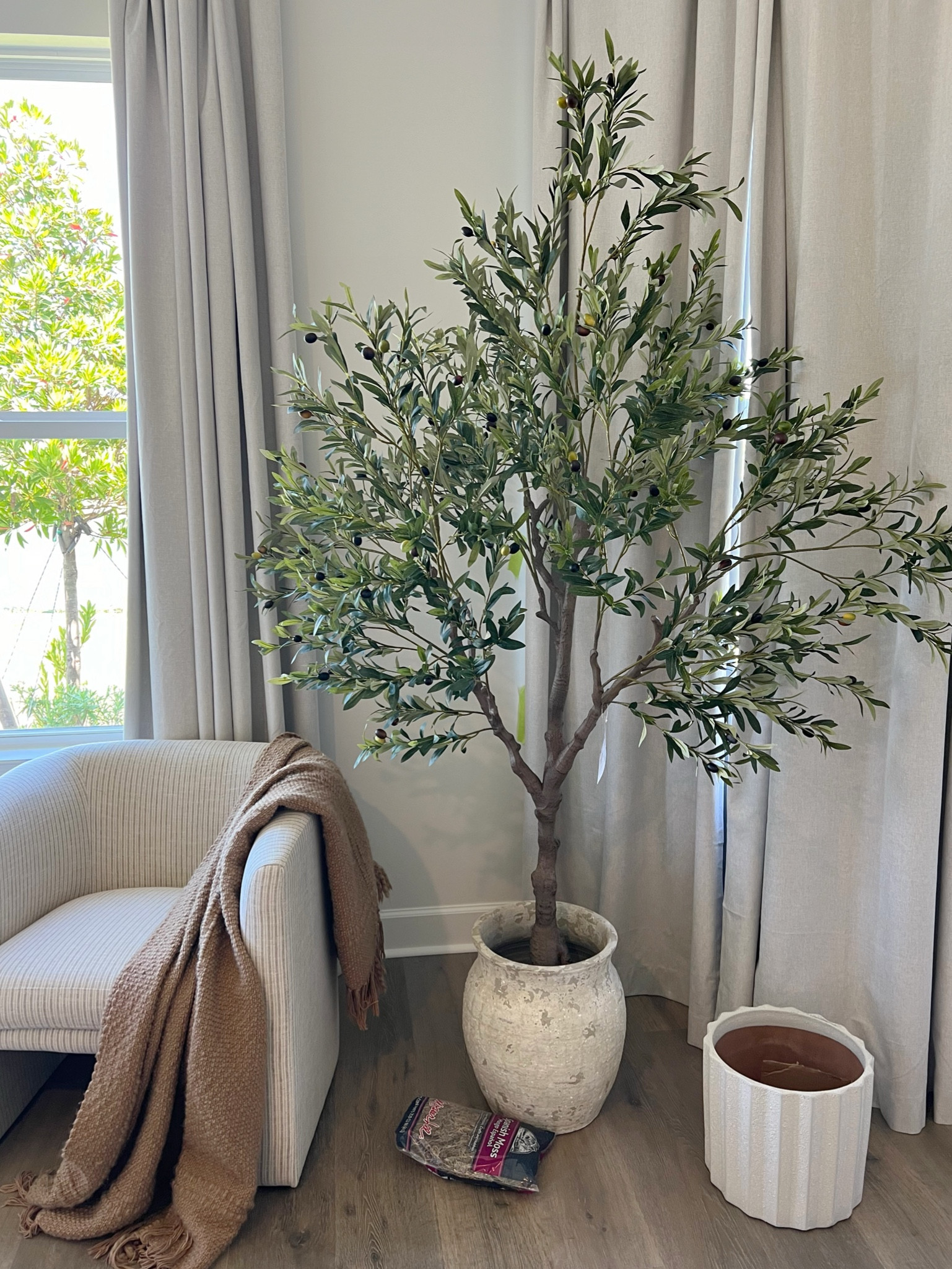 This 7ft Olive tree is so full and beautiful! The branches are so realistic looking and it’s only $128! 


Artificial tree, olive tree, home decor

#amazon 

#LTKHome