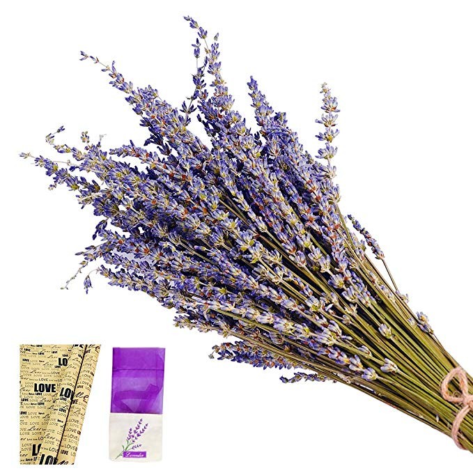 EMISH Lavender Bundles, Freshly harvested Real Natural Lavender Bunch Royal Velvet Lavender Bundl... | Amazon (US)