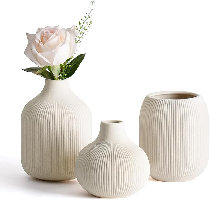 Modern Beige Ceramic Vase Set of 3, Ribbed Texture Boho Minimalist Home Decor, Small Decorative V... | Amazon (US)