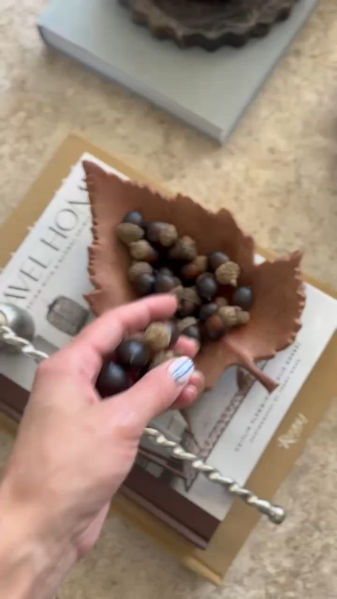 I’m loving this transitional coffee table styling! A small touch that instantly made our space feel cozier and ready for fall! My terracotta leaf dish is already sold out, but linking a similar one! 

#LTKHome #LTKStyleTip