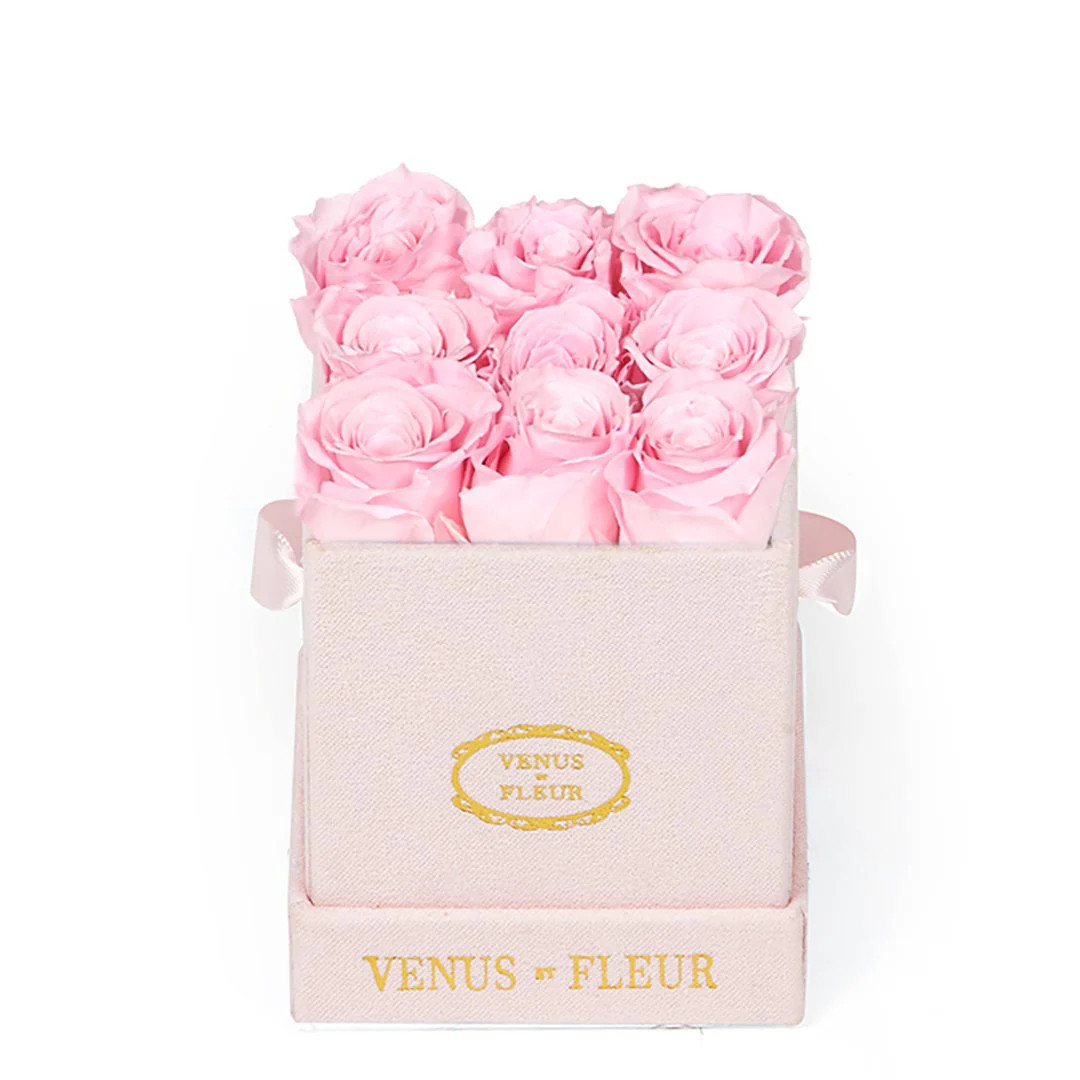 Le Mini™ Square | Venus ET Fleur