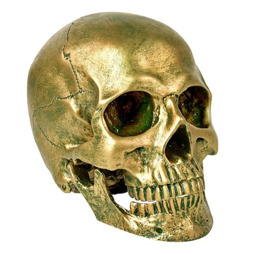 SEKKVY Resin Human Gold Skull Statues Halloween Decor Skeleton Outdoor Human Skull Model Golden Home Decoration (Removable) | Amazon (US)