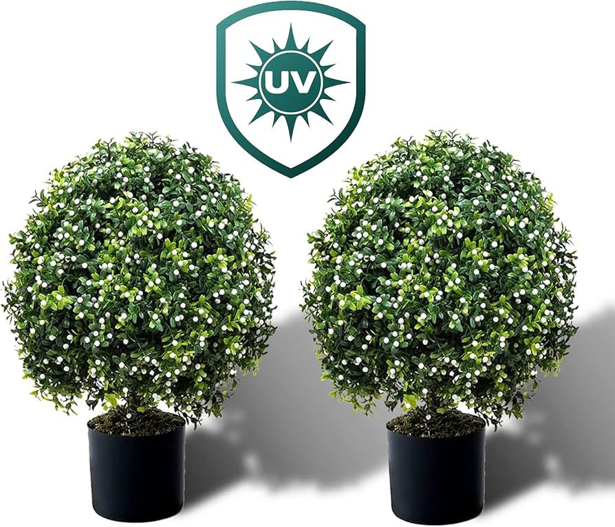 Visit the QAOUIEP Store | Amazon (US)