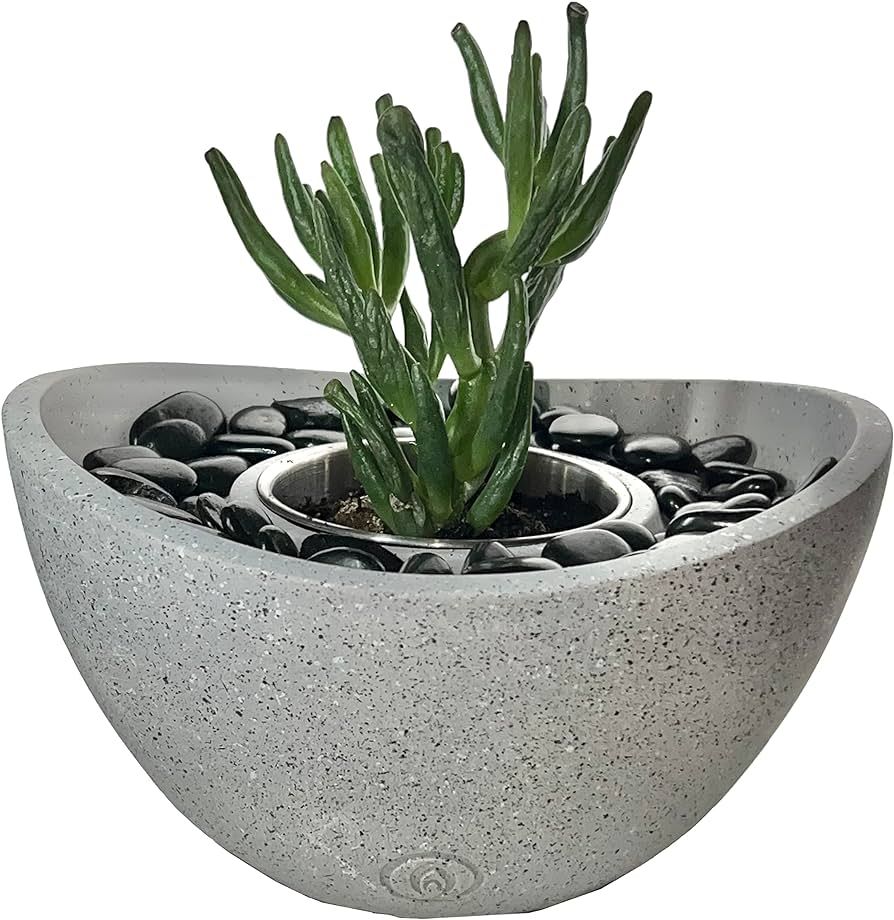 WECOZY Modern Decor Concrete Planter, Oval Shape Ideal for Zen and feng Shui Decor, Tablet top & ... | Amazon (US)
