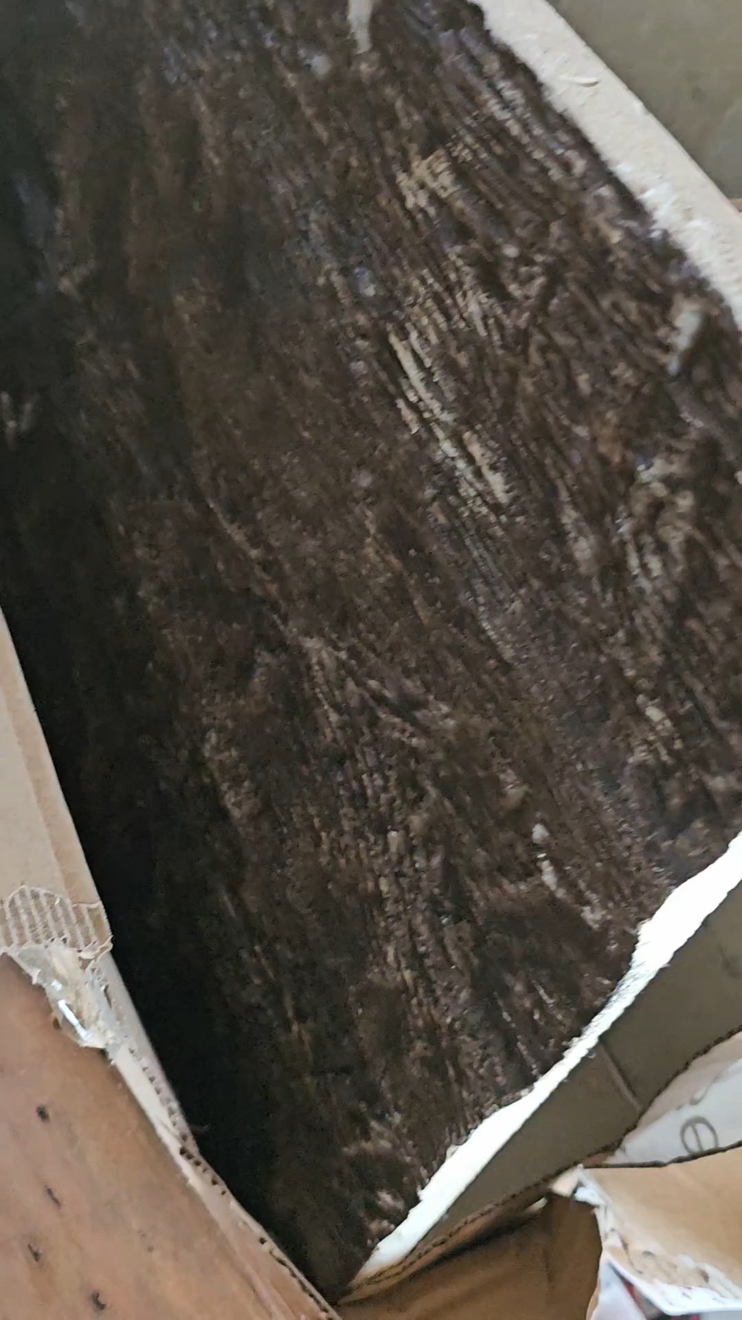 Jaya is where I got them +86 133 3648 6272

#LTKHome