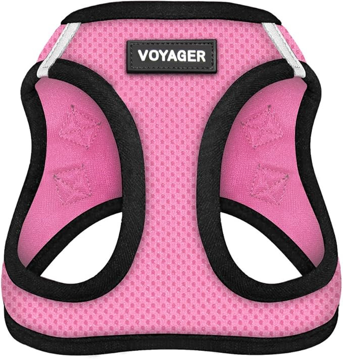 Voyager Step-In Air Dog Harness - All Weather Mesh Step in Vest Harness for Small and Medium Dogs... | Amazon (US)