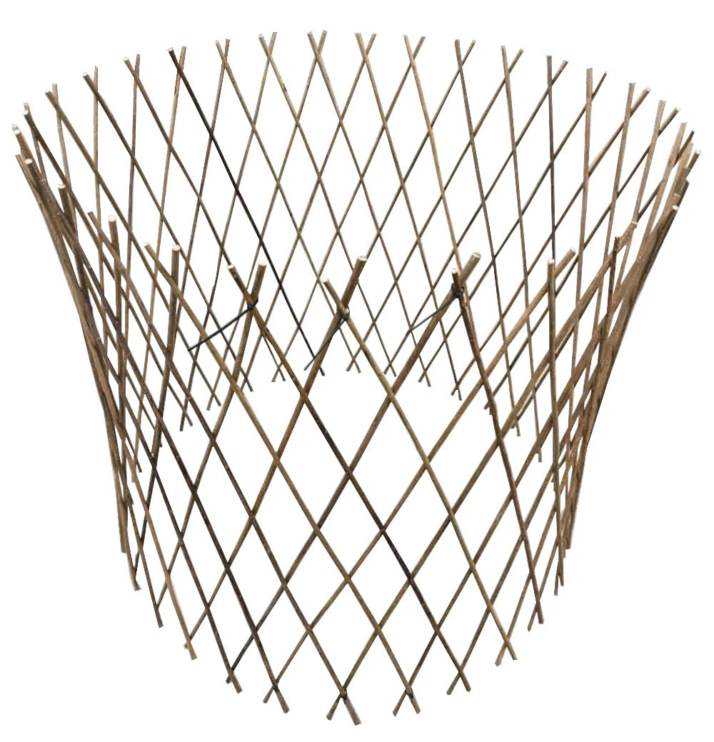 24'' H x 36'' W Wood Trellis | Wayfair North America