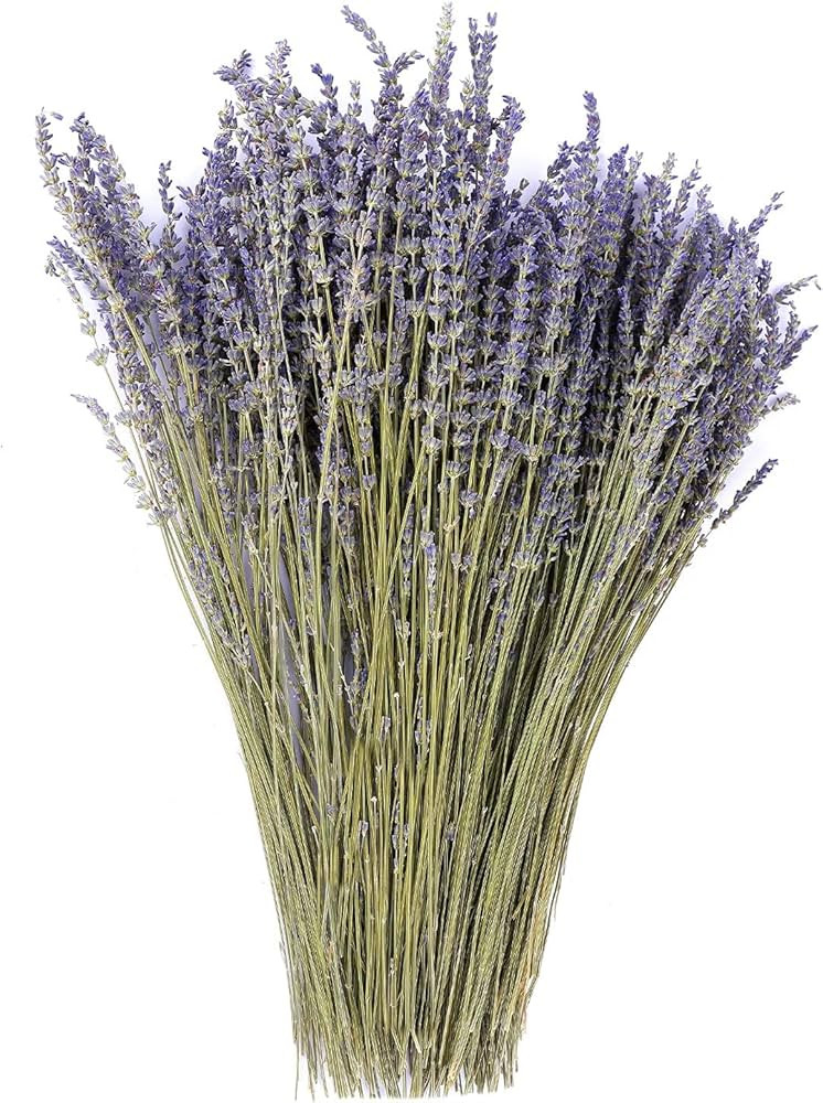 Dried Lavender Flowers Bundles 100% Natural Real Dry Flower for Home Decorations,Home Fragrance 3... | Amazon (US)