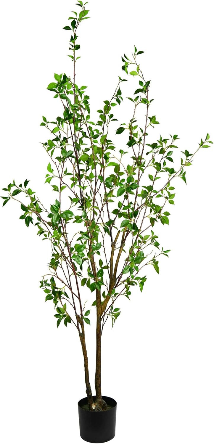 Vickerman Everyday 72" Indoor Potted Baby Leaf Tree. Black Plastic Pot - Faux Indoor Greenery Dec... | Amazon (US)