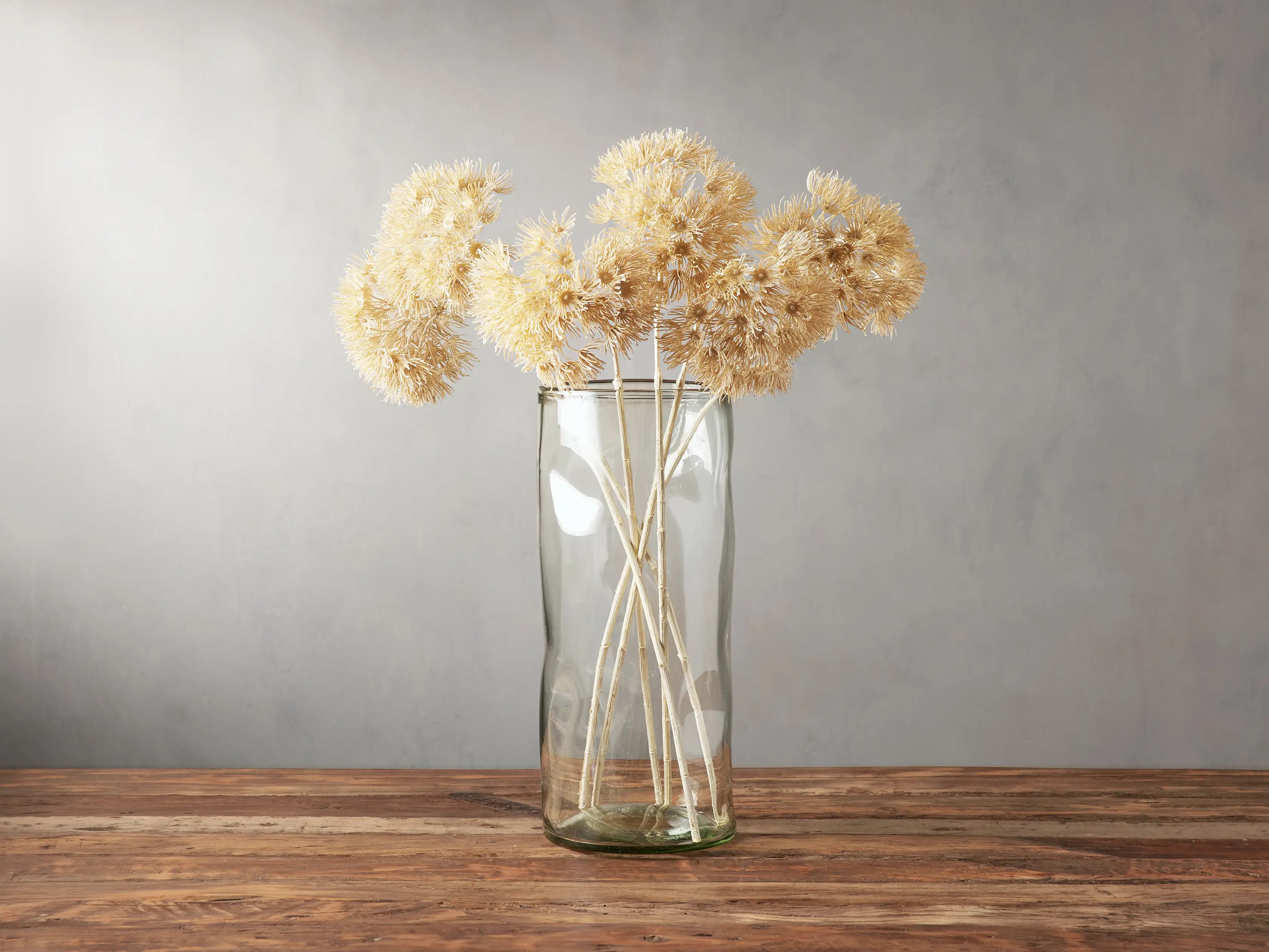 Allium Stems (Set of 3) | Arhaus