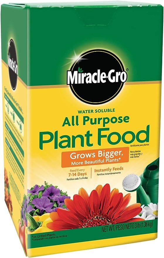 Miracle-Gro Water Soluble All Purpose Plant Food, Fertilizer for Indoor or Outdoor Flowers, Veget... | Amazon (US)