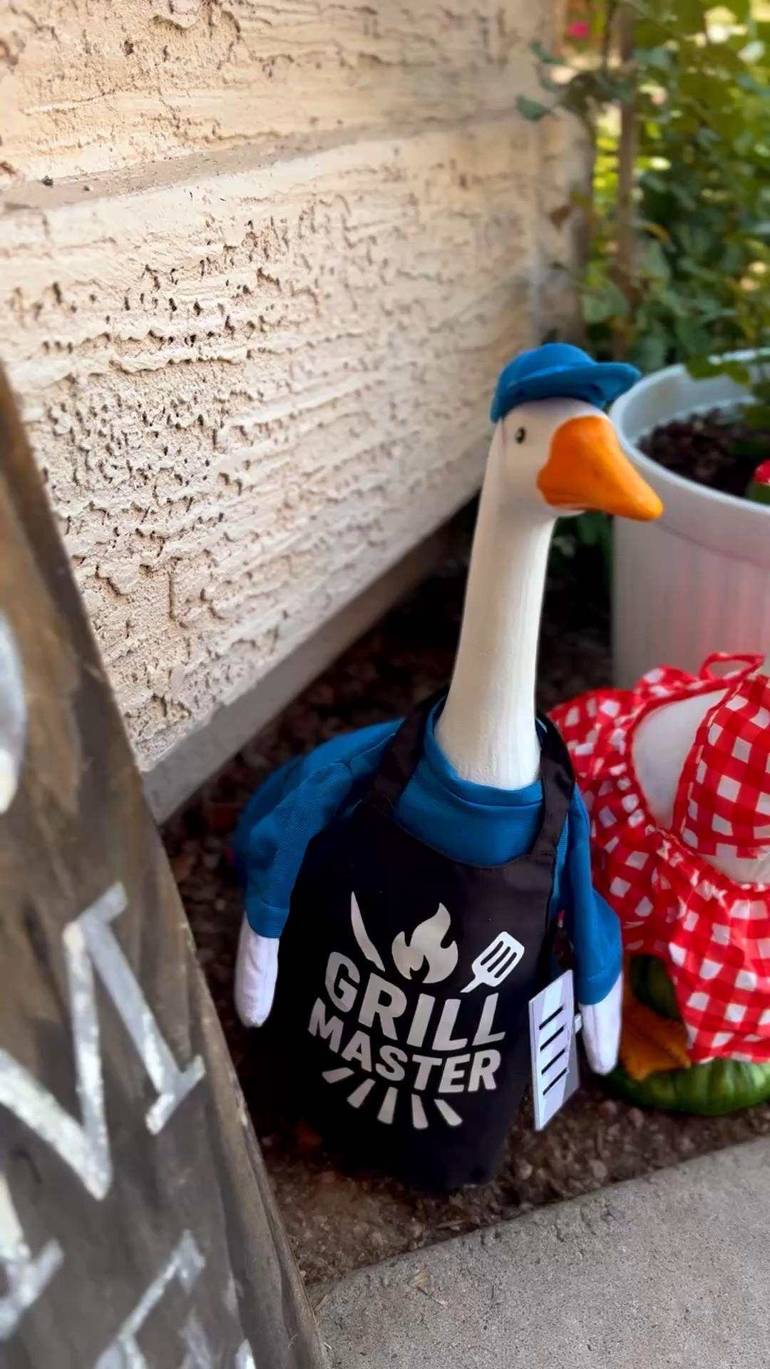 bruce & meryl, our friendly porch geese! bruce is from the great lakes area and meryl migrated down to hollywood for a dream and never looked back. porch goose. porch goose outfits.

#LTKHome #LTKmomlife