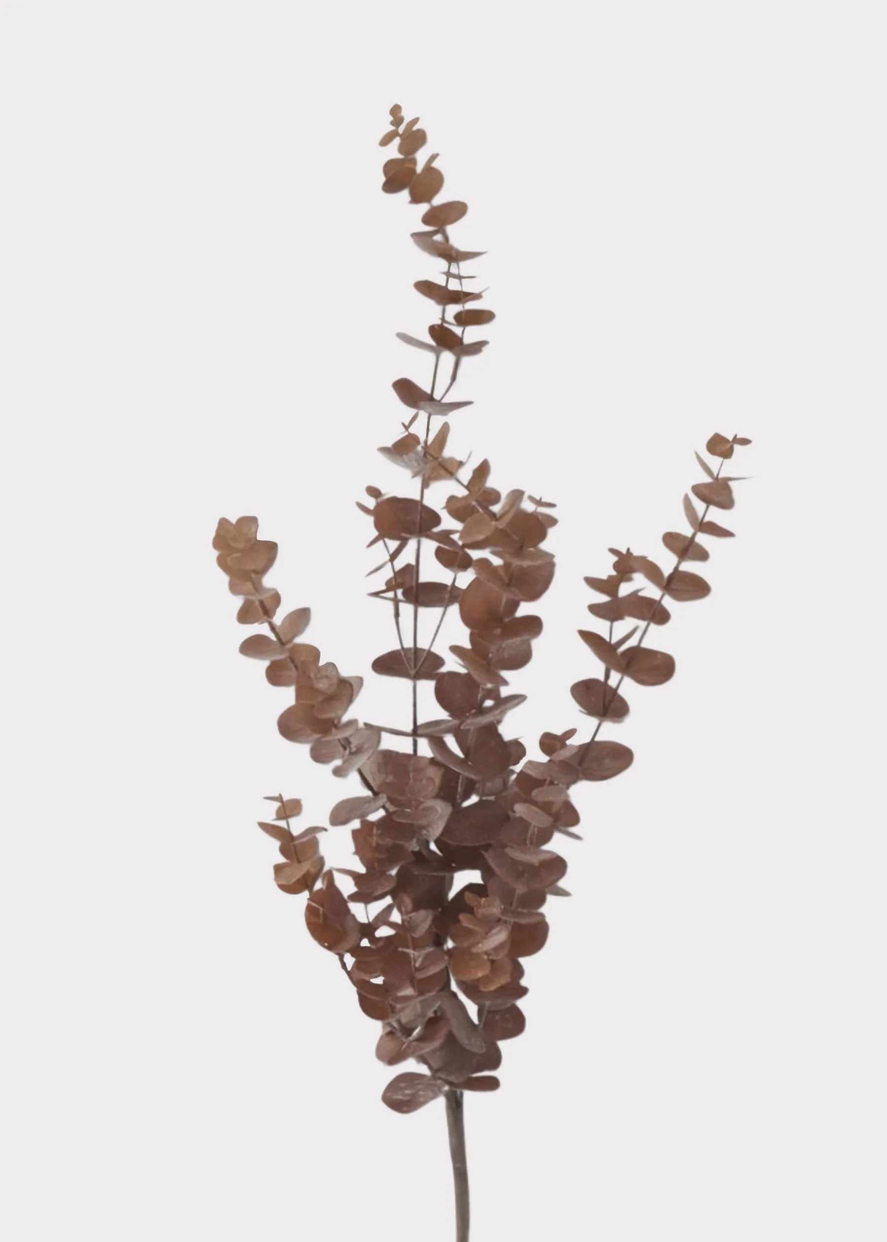 Tall Fake Eucalyptus Branch in Fall Brown Hue - 36" | Afloral