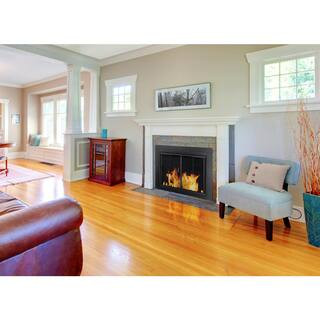 Pleasant Hearth Ascot Small Glass Fireplace Doors AT-1000 - The Home Depot | The Home Depot