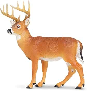 Safari Ltd. Whitetail Buck Figurine - Detailed 4.95" Model Figure - Educational Toy for Boys, Gir... | Amazon (US)