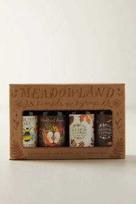 Autumn Simple Syrups, Set of 4 | Anthropologie (US)