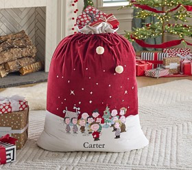 Peanuts® Charlie Brown® Santa Bag | Pottery Barn Kids