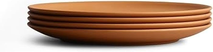 Year & Day Outdoor Set of 4 Unbreakable Lightweight Salad Plates, Plant Derived, Canyon Terracott... | Amazon (US)