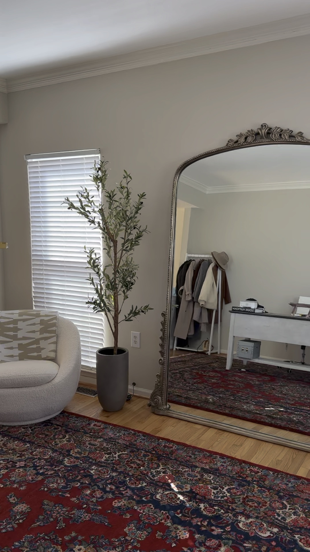 Olive tree 6’ on sale & back in stock!

#LTKhome #LTKfindsunder50 #LTKfindsunder100