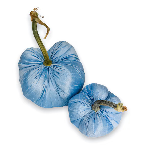 Light Blue Silk Dupioni Pumpkin With Real Stem - Etsy | Etsy (US)