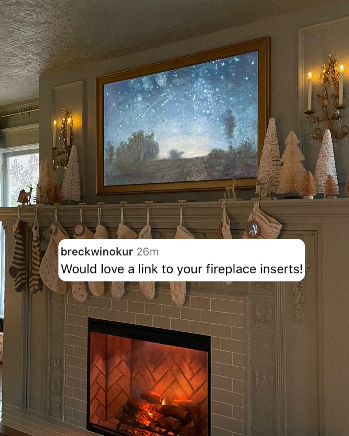 Love this electric fireplace insert. It heats the room & looks realistic. We added the glass cover as well. 

#LTKhome