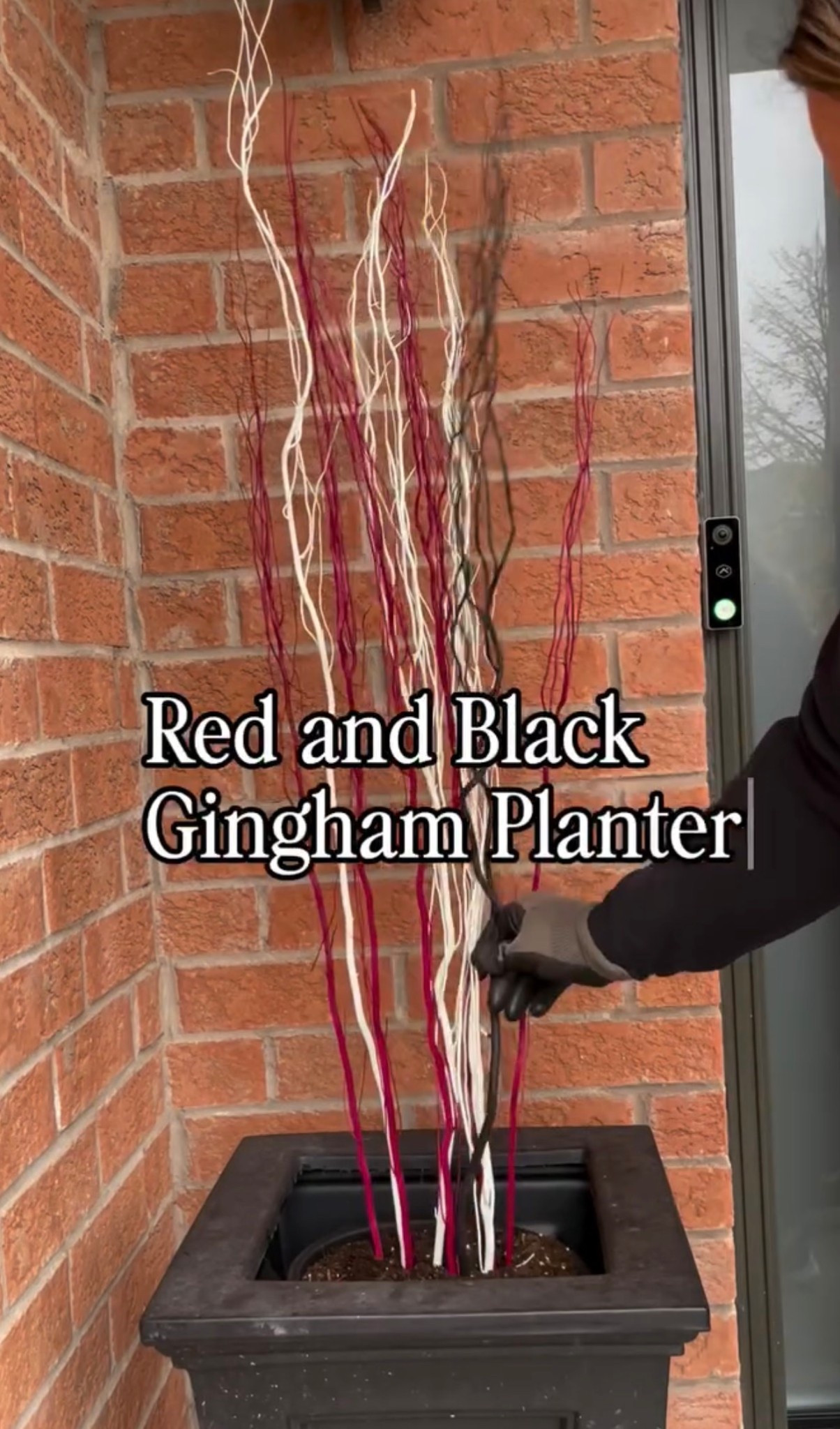 Black planter 

#LTKstyletip #LTKhome #LTKwinter