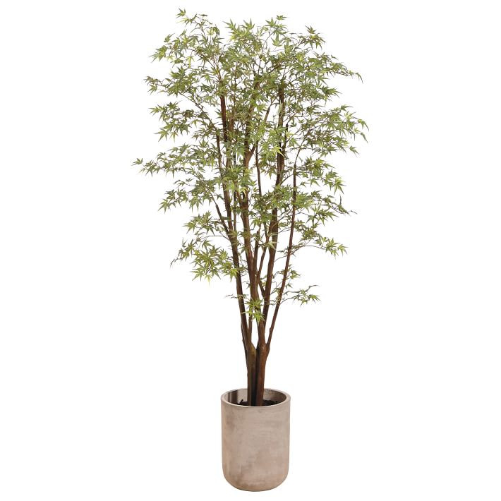Faux Potted Mini Japan Maple Tree w/ Planter | West Elm (US)