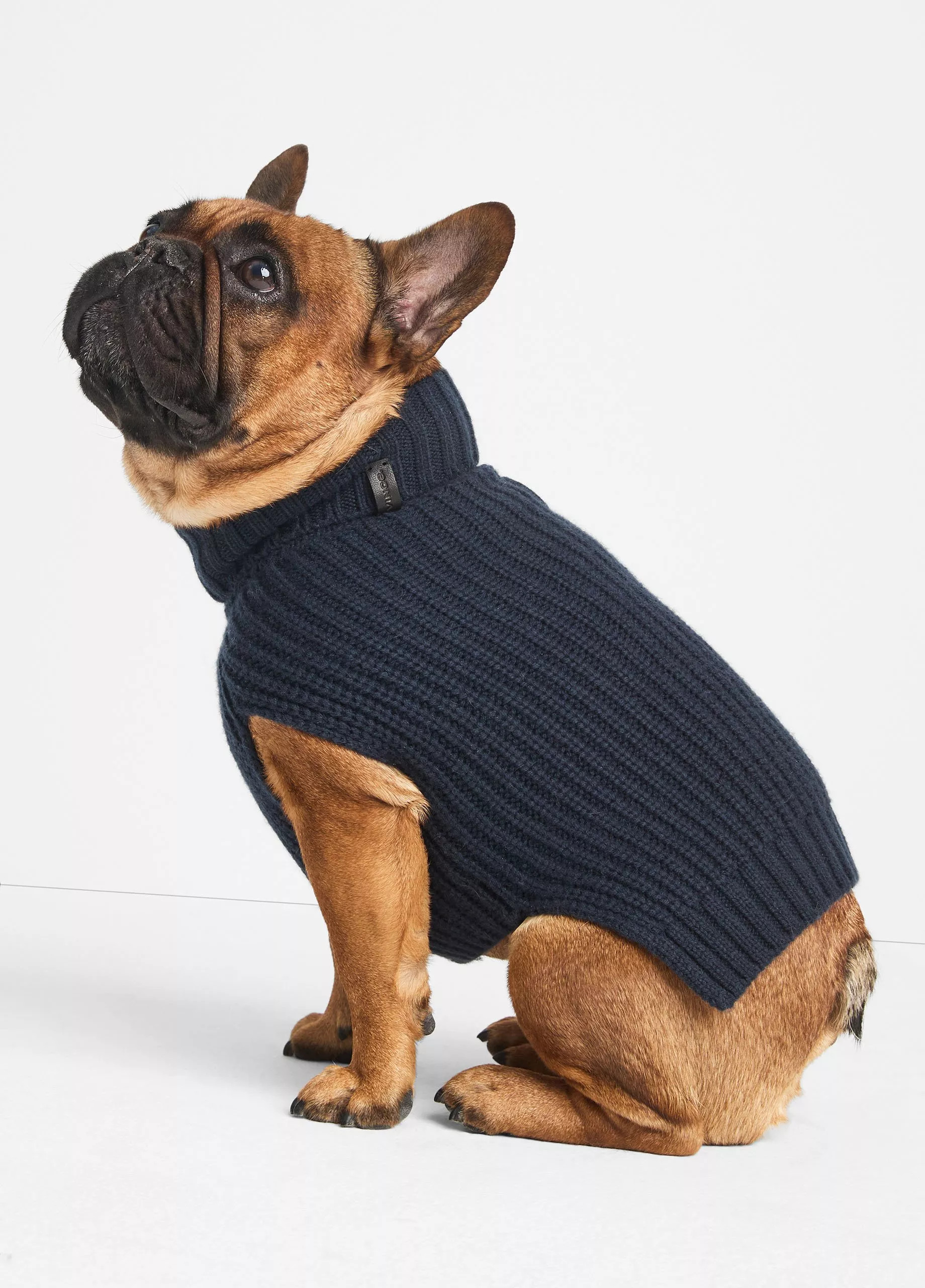 Wool and Cashmere Shaker-Stitch Dog Sweater | Vince LLC