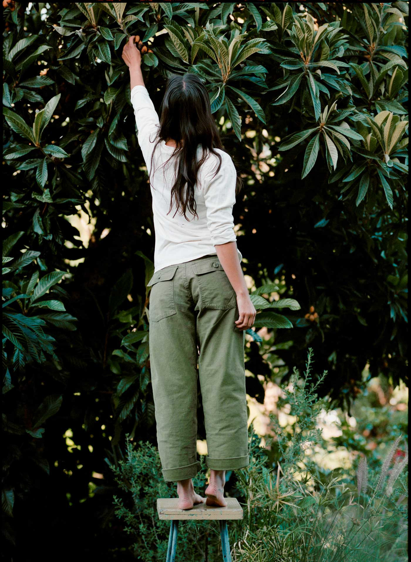 blake military trouser in olive | imogene + willie