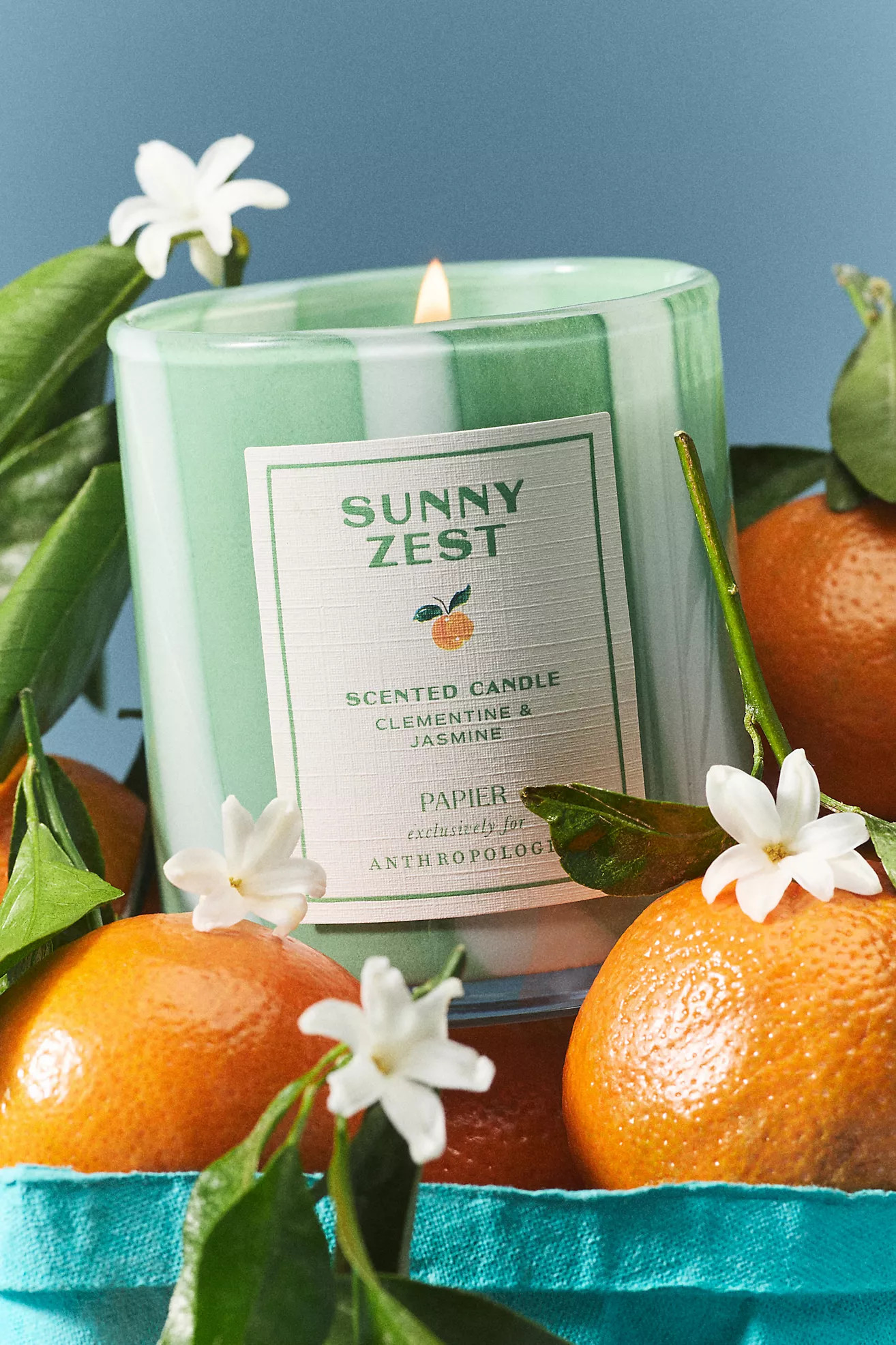Papier x Anthropologie Fruity Clementine & Jasmine Boxed Glass Candle | Anthropologie (US)