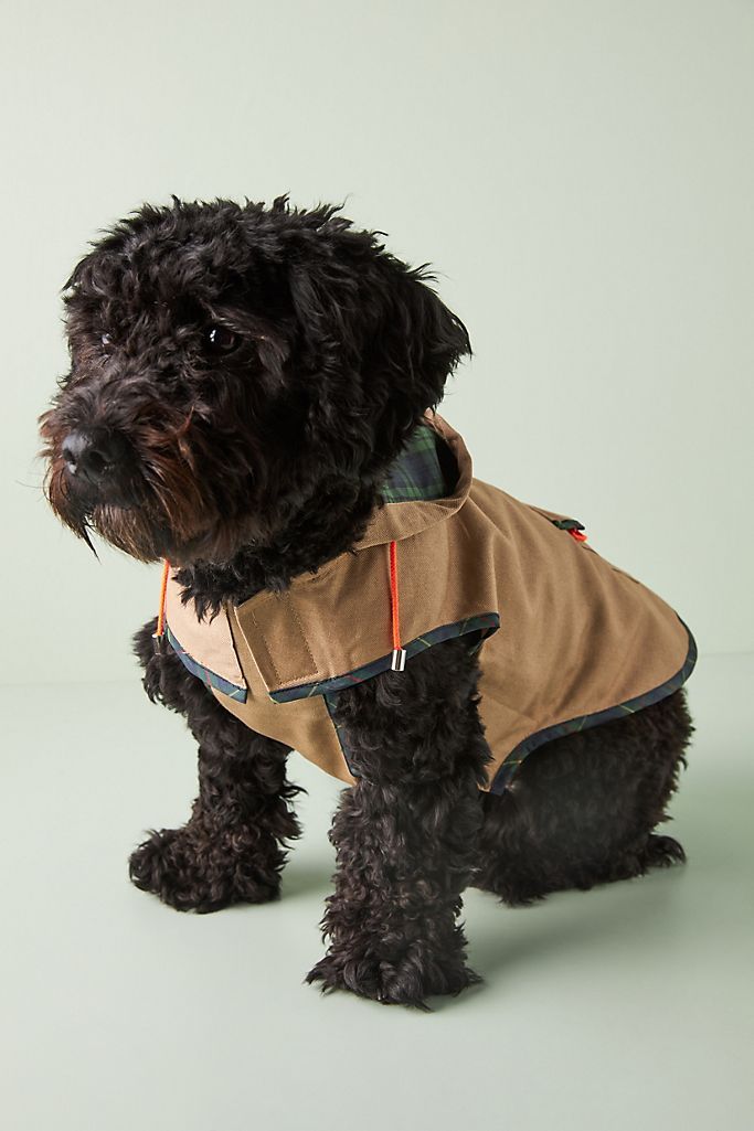 Dog Anorak Raincoat | Anthropologie (US)