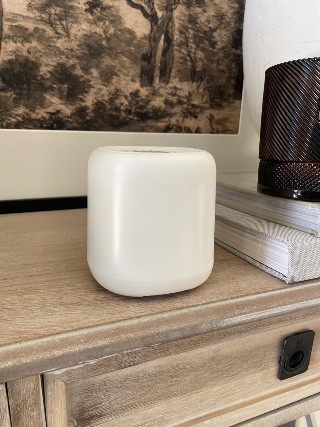 Canopy Bedside Diffuser, Pink Diffuser, Waterless Technology, Diffuses Up to 400 Sq Ft - 3 Fan Sp... | Amazon (US)