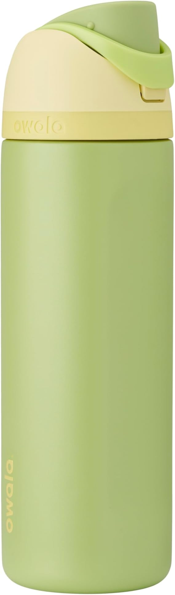 Owala Disney Princess FreeSip Insulated Stainless Steel Water Bottle with Straw for Sports and Tr... | Amazon (US)