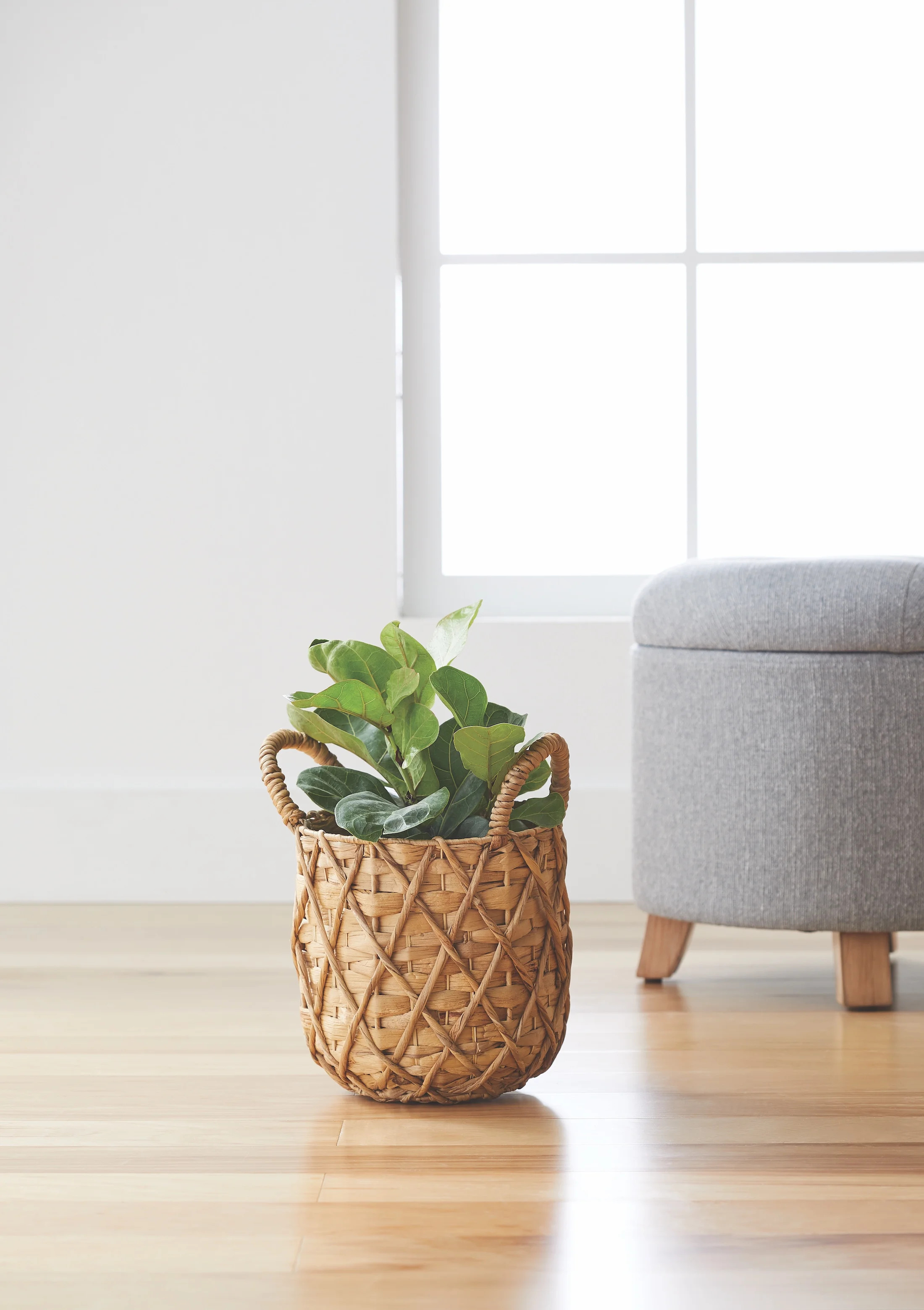 Better Homes & Gardens 9" Natural Water Hyacinth Basket Planter | Walmart (US)