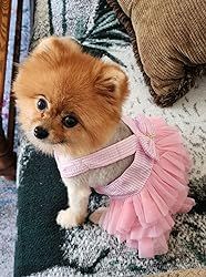 Dog Dresses, Fashion Pet Dog Clothes, Striped Mesh Puppy Dog Princess Dresses (Pink/Blue/Denim(3p... | Amazon (US)