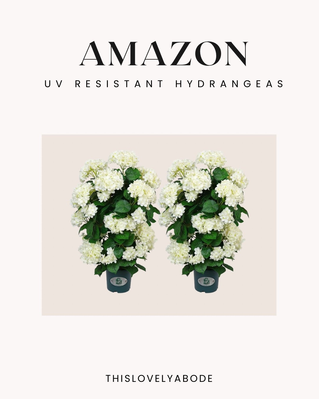 UV resistant outdoor hydrangeas 
#amazon #hydrangeas #springdecor #outdoordecor

#LTKHome