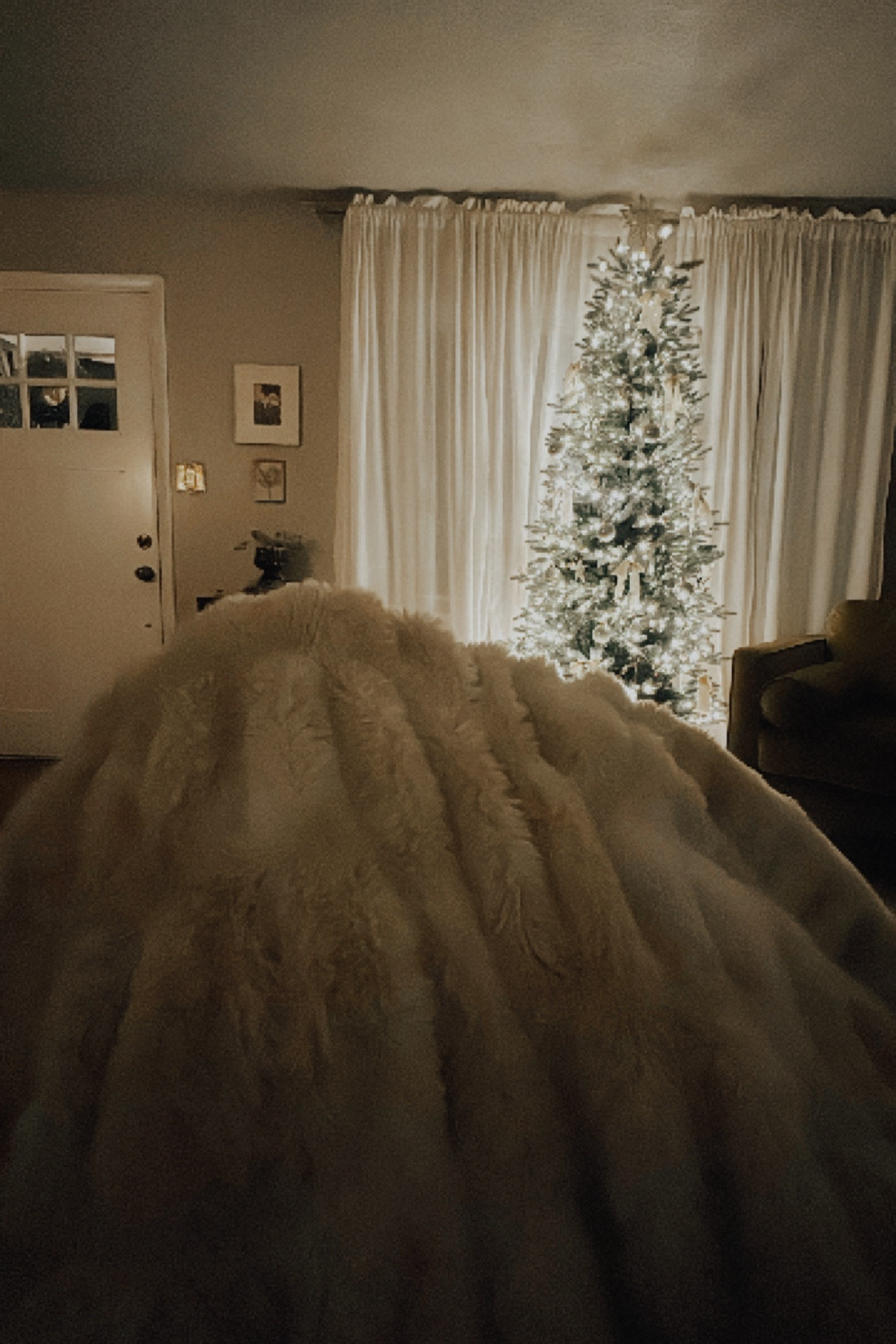 The warmest blanket!!! 