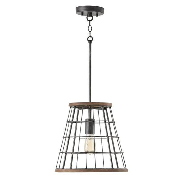 Gabourey 1 - Light Single Cone Pendant with Wood Accents | Wayfair Professional