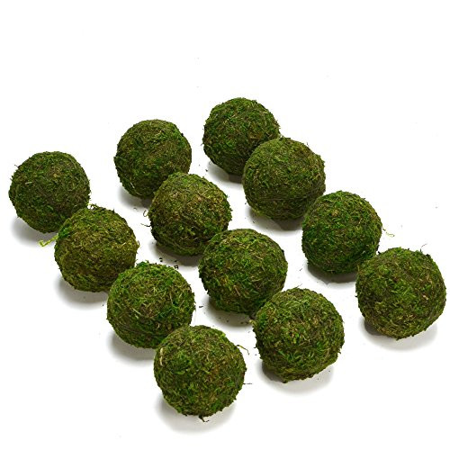BYHER Natural Green Moss Decorative Ball,Handmade (2"-Set of 12) | Amazon (US)