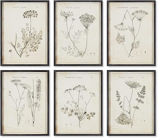 NAPA Home & Garden WILDFLOWER STUDY, SET OF 6 | Amazon (US)